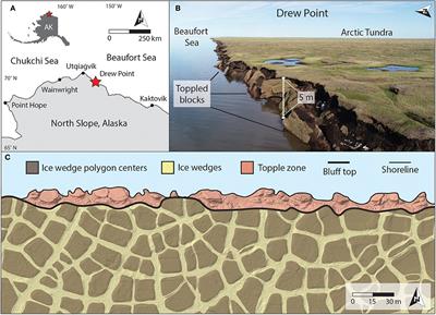 Geometric and Material Variability Influences Stress States Relevant to Coastal Permafrost Bluff Failure
